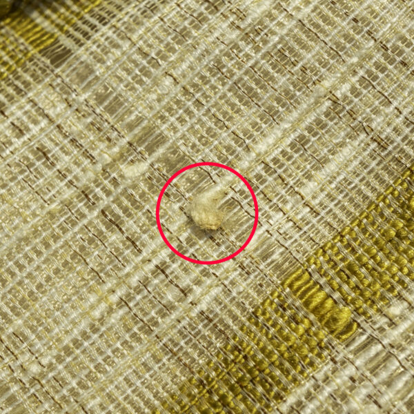 黄金色のサマージャケット　拡大