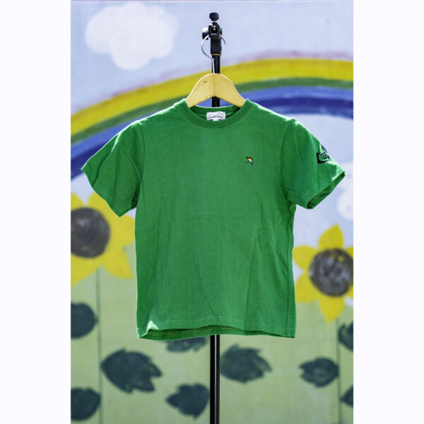 アーノルドパーマー緑地半袖Ｔシャツ　正面